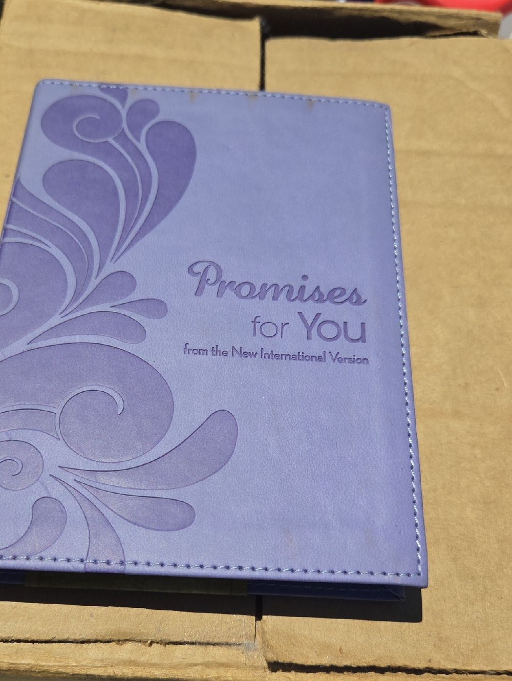 Promises for You Purple NIV Softcover